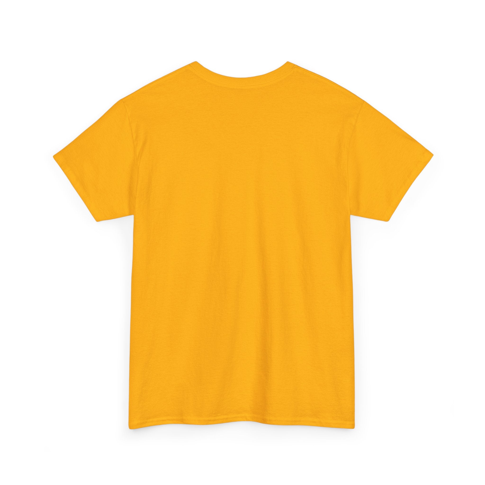 Urban Poetry Apollo Unisex Heavy Cotton Tee