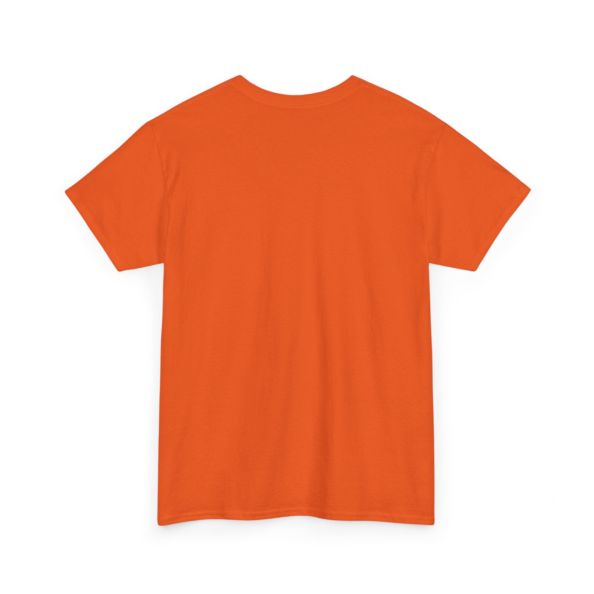 Urban Skull Graphic Tee - "DESTROY MY TRUST"